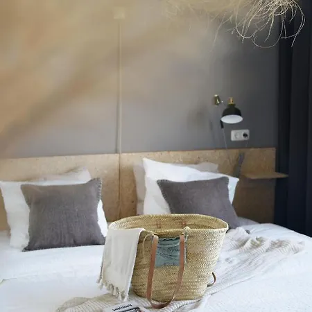 Pluim 4 Personen - Zeezand Recreatie Daire