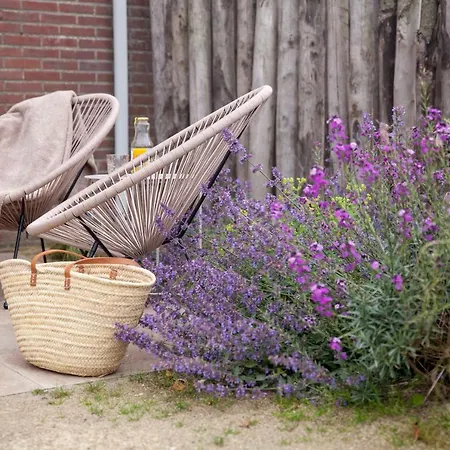 Pluim 4 Personen - Zeezand Recreatie Daire Stolpen