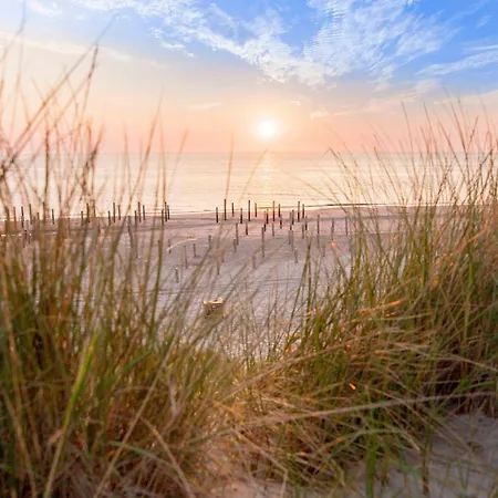 Daire Pluim 4 Personen - Zeezand Recreatie Stolpen