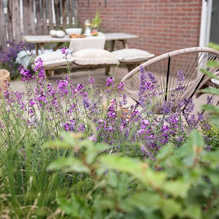 Apartment Pluim 4 Personen - Zeezand Recreatie Stolpen