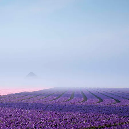 Appartamento Pluim 4 Personen - Zeezand Recreatie *