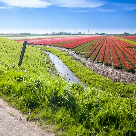 Appartamento Pluim 4 Personen - Zeezand Recreatie *